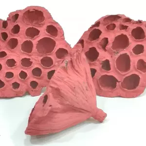 Zdjęcie kategorii Susz egzotyczny