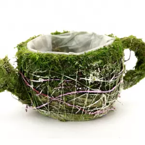 Zdjęcie kategorii Osłonki-pojemniki z mchu kory.